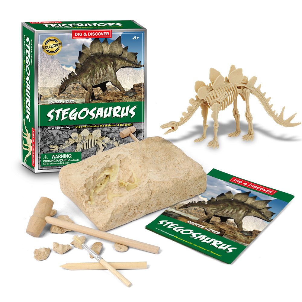 DIG & DISCOVER STEGOSAURUS DIG KITS - Bamboo Sprout